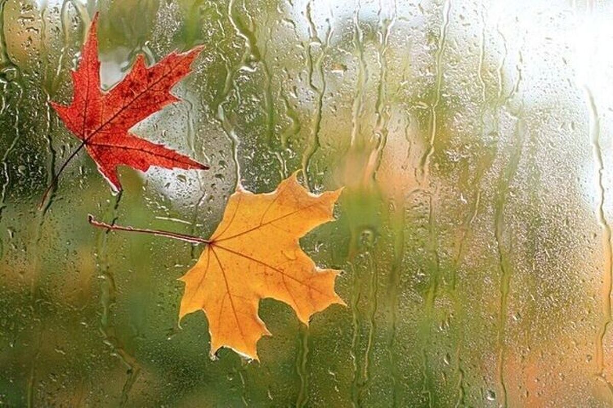 احتمال آغاز بارش‌ها از نیمه آذر در یزد