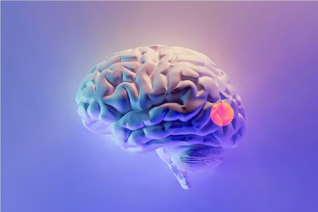 طراحی دارویی به صورت قطره بینی برای حذف تومورهای مغزی