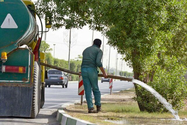 مدیریت بحران آب نباید به قیمت نابودی فضای سبز یزد تمام شود