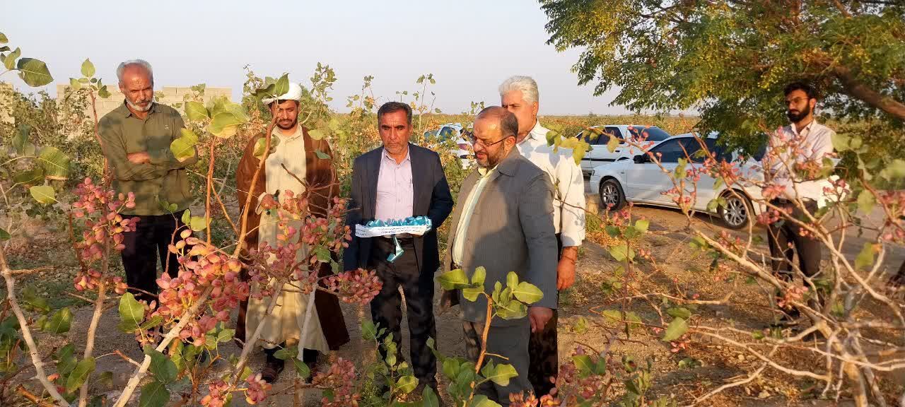پلاک کوبی ۱۲ هزار اصله درخت در طرح شجره طیبه
