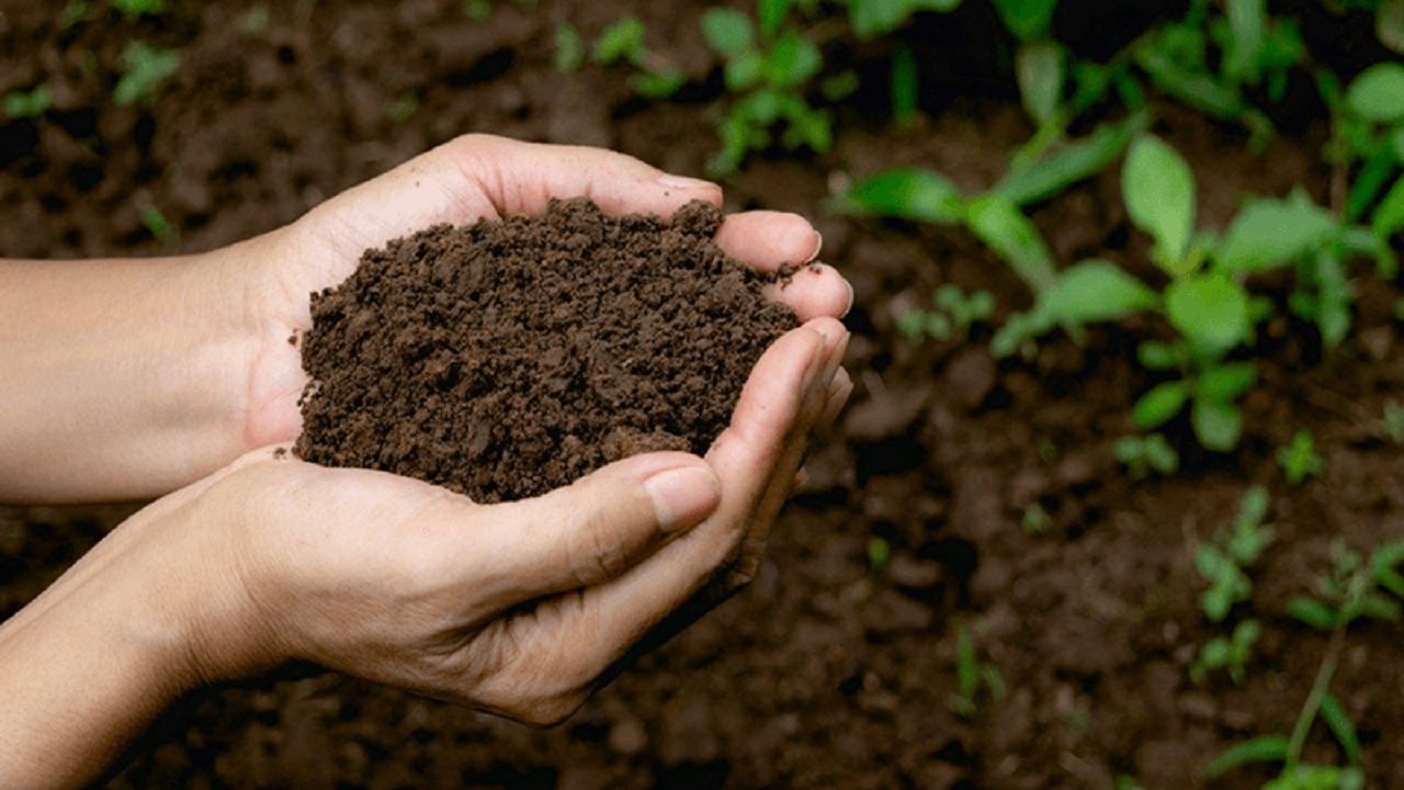 ضرورت حفظ عنصر حیاتی خاک