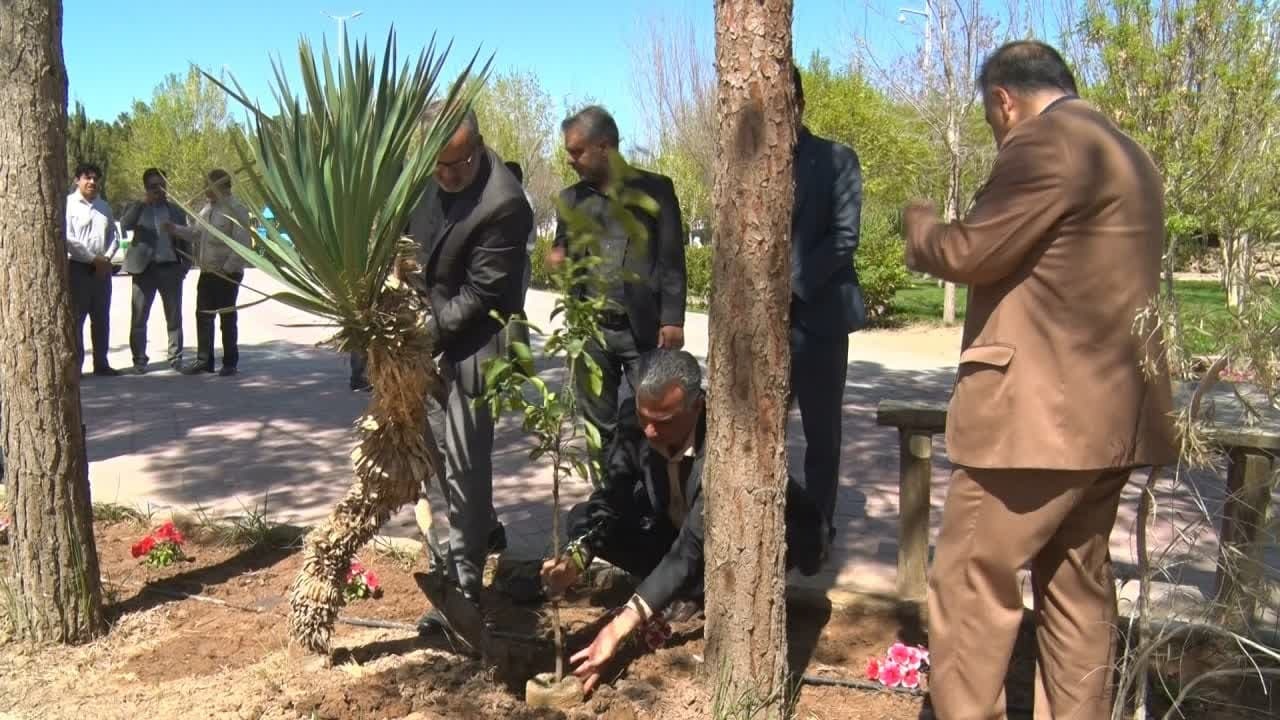 کاشت یکصد نهال در پارک بهاران میبد