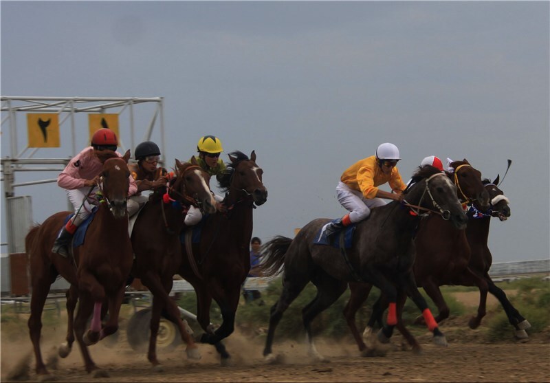 رقابت ۹۱ راس اسب در کورس بهاره یزد