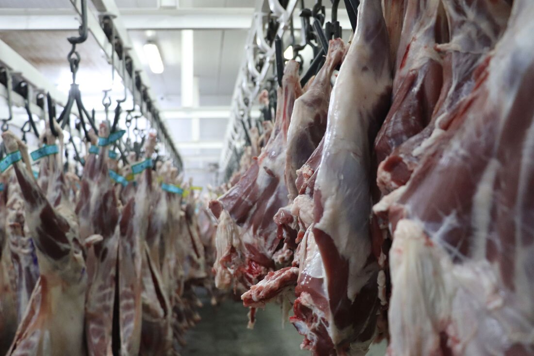 تولید سالانه ۱۸ هزار تن گوشت قرمز در استان یزد