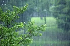 پیش بینی رگبار پراکنده باران در یزد