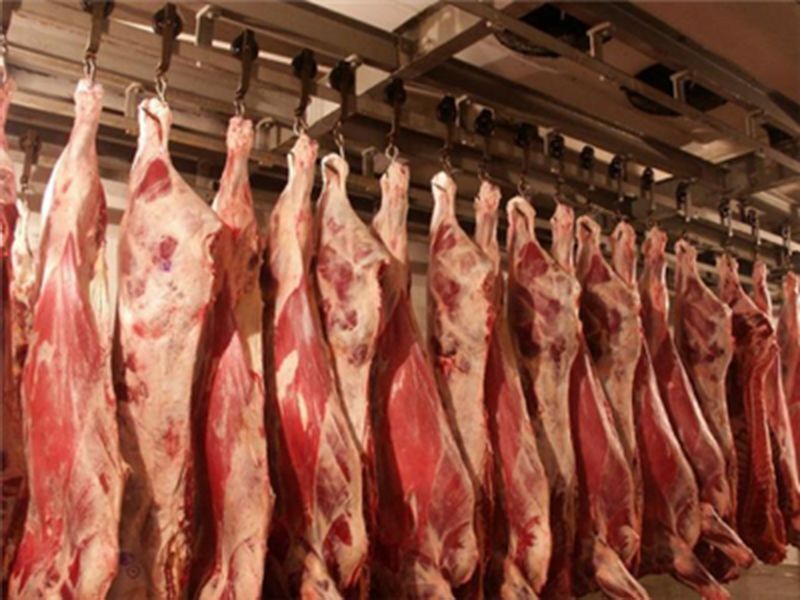 واردات گوشت گرم گوسفندی به استان یزد، همین هفته