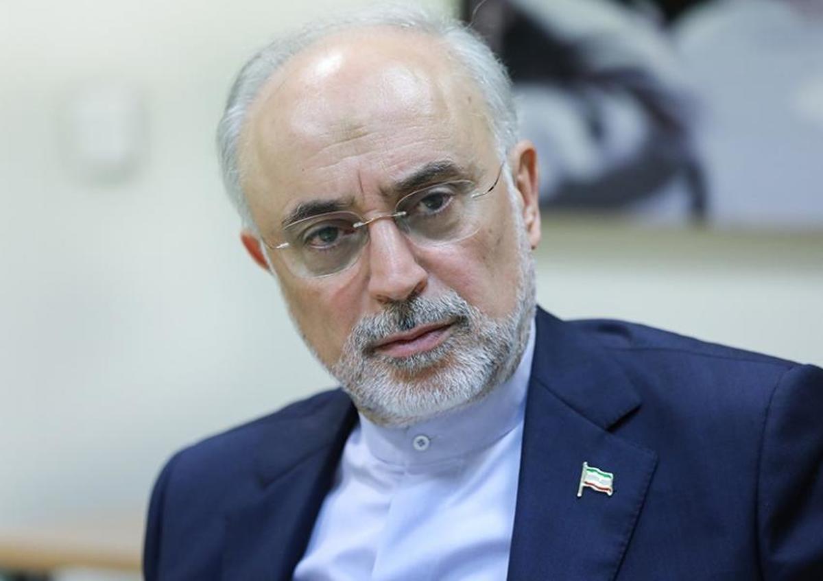 صالحی: جنگ مسکو و کی‌یف فرصت استثنایی برای ایران است