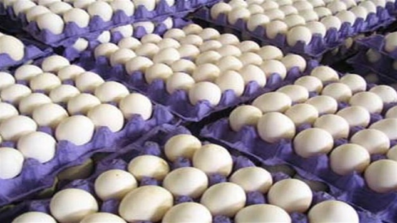 قیمت مصوب تخم مرغ در یزد اعلام شد