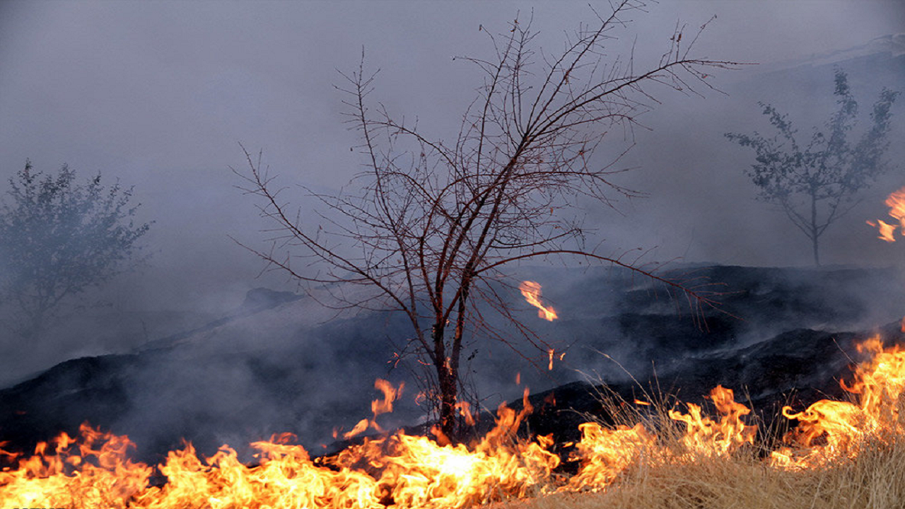 سیلی آتش بر چهره بیش از ۲۵۳ هکتار از مراتع یزد