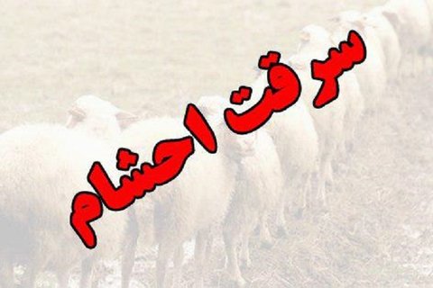 دستگیری سارق دامداری در اشکذر