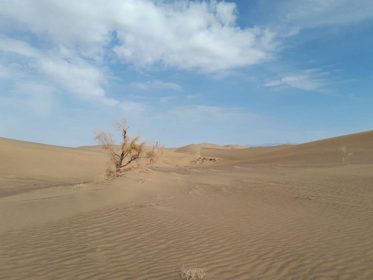 کویرگردی در کویر حلوان را از دست ندهید