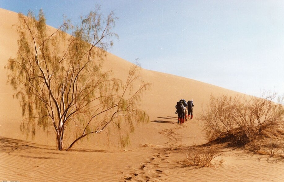 کویرگردی جالب در کویر ریگ جن