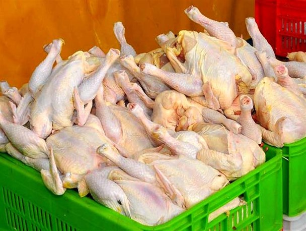 یزدی‌ها از امروز مرغ را گران‌تر از 20 هزار و 400 تومان نخرند/ تخلفات را گزارش دهید
