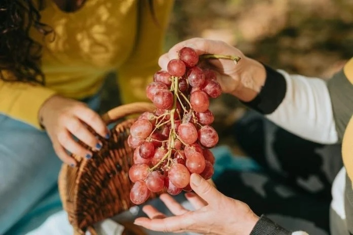 با مصرف این میوه لاغر شوید