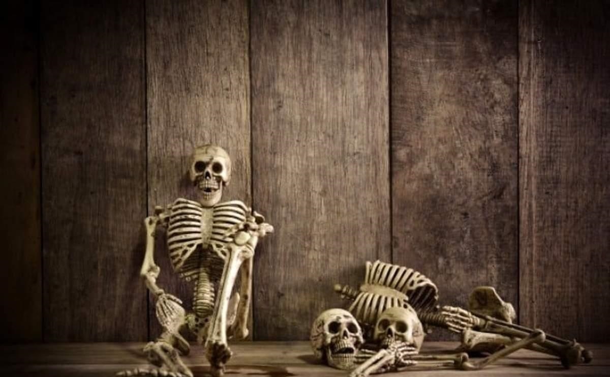 از لحظه مرگ تا ۱۰۰ سال بعد چه اتفاقی برای جسد انسان می‌افتد؟