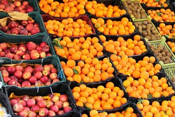 توزیع میوه عید از امروز در یزد آغاز شد/پرتقال ۱۱۵۰۰ تومان