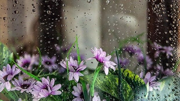 رگبار و رعد و برق پراکنده در استان یزد