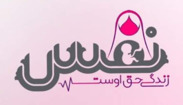 فعالیت هفت ” مرکز مردمی نفس” در سطح استان