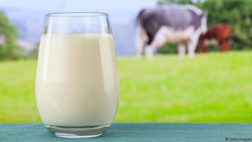 هشدار؛‌ در مصرف شیر زیاده‌روی نکنید/ نشانه‌های زیاده‌روی در مصرف شیر