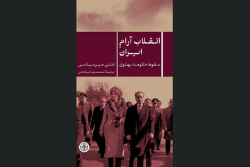 علل فروپاشی حکومت پهلوی در «انقلاب آرام ایران»/ نقش تحولات فرهنگی چیست؟