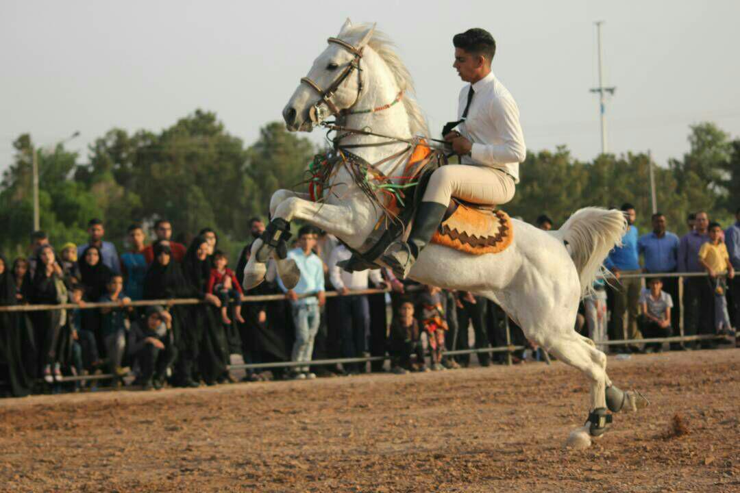 برگزاری شو سواره زیبایی اسب در شاهدیه یزد