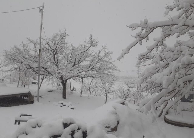 تداوم ناپایداری‌های جوی در استان کرمان تا صبح جمعه