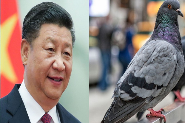 مقررات عجیب چین برای جشن / پرواز پهپاد و کبوتر در آسمان پکن ممنوع