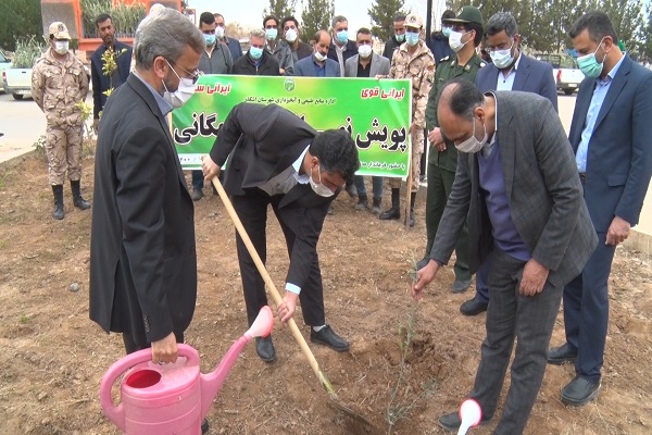 آغاز پوش نهال کاری همگانی در اشکذر