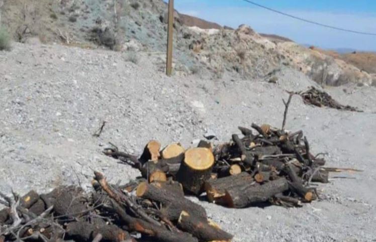 دلیل قطع درختان در روستا‌های همجوار معدن