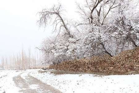 نوسان دمایی در استان یزد