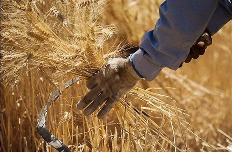 بخشودگی جرائم بانکی کشاورزان در اجرای طرح مهار تورم و رشد تولید