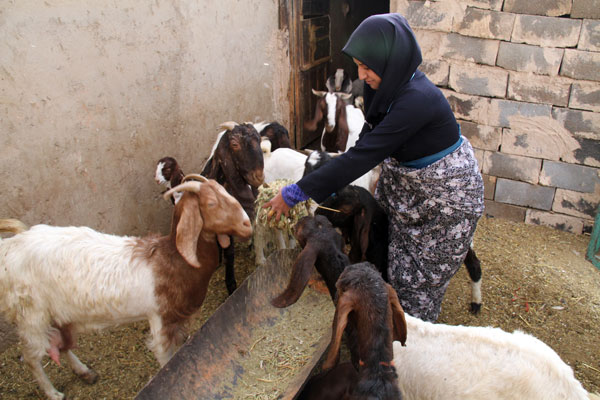 اعطای شش میلیارد تومان وام اشتغال به مددجویان شهرستان خاتم