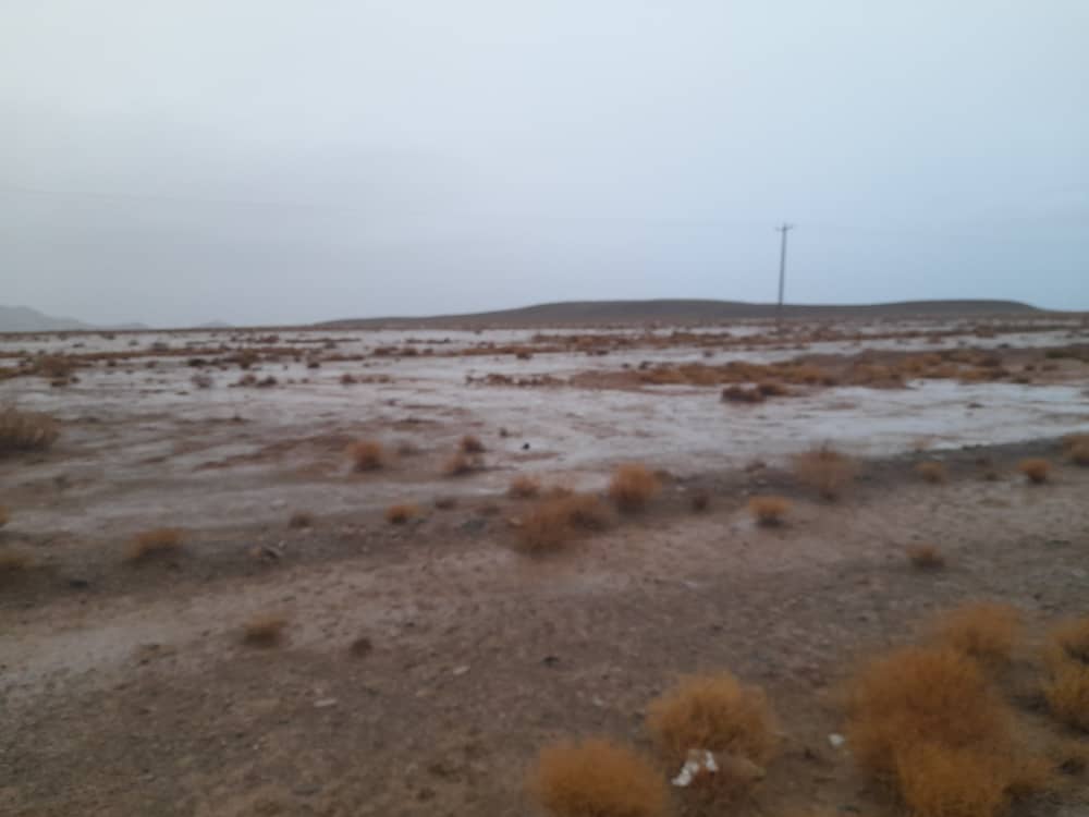 بارش باران صبحگاهی پاییزی جان دوباره به کویر روستای بویی آباد شهرستان بهاباد بخشید