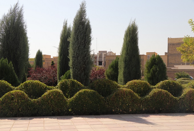 اجرای عملیات هرس پاییزه درختان فضای سبز سطح شهر