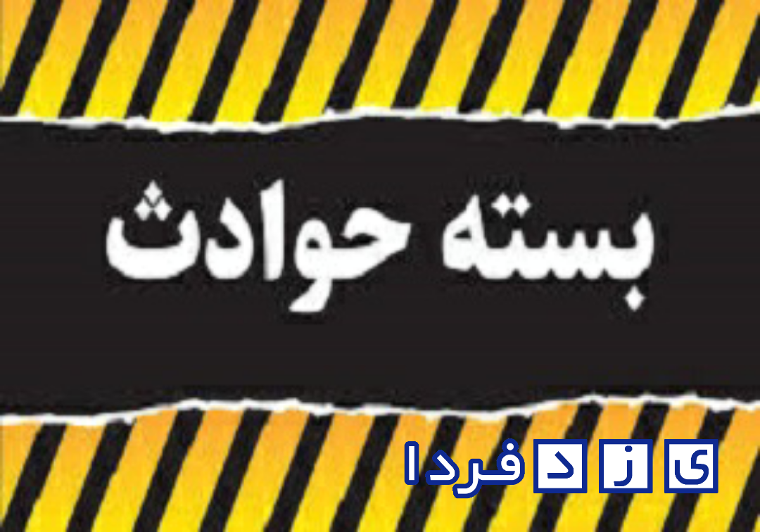 از ناکامی قاچاقچیان گیاهان دارویی تا دستگیری ۱۹ سارق حرفه‌ای در استان یزد