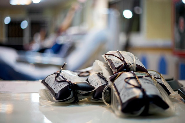 سهم بانوان یزدی از اهدای خون استان به ۵ درصد رسید