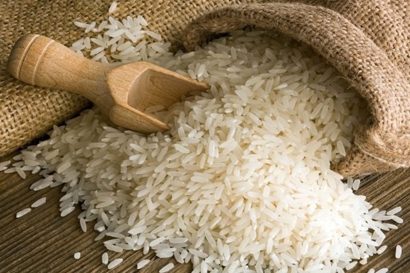 بازار برنج اسیر لابی و مافیاست