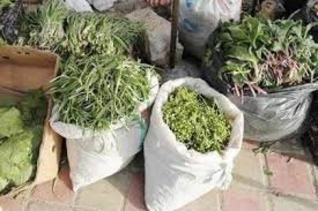  محکومیت عاملین قاچاق داروهای گیاهی در یزد