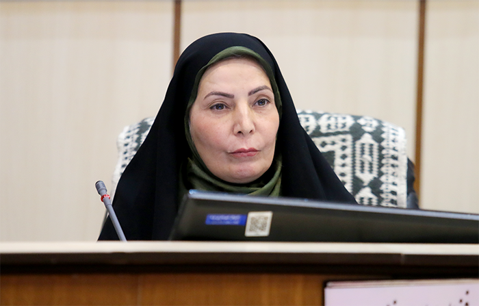 ضرورت طرح جامع جهت ساماندهی مشاغل خانگی در شهر یزد