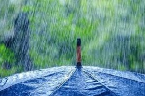 آخرین آمار بارش ها در استان یزد