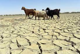 خشکسالی بسیار شدید در طبس/ از نظر کم بارشی خراسان جنوبی بعنوان چهارمین استان پس از استان یزد