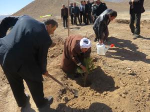 مراسم جشن درختکاری در شهرستان بهاباد برگزار شد