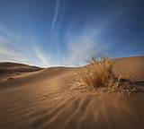 نمایشگاه آثار منتخب اولین جشنواره سراسری عکس کویر و زندگی برپا شد