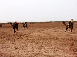 تصویری:دومین مسابقات شترسواری کشوری به میزبانی طبس در کویر حلوان