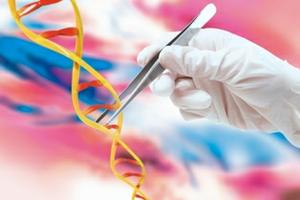 برنامه مشاوره ژنتيك در یزد گسترش خواهد یافت .