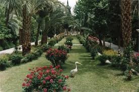 باغ گلشن طبس یکی از مهم ترین باغ های ایرانی