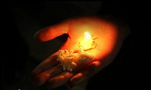 شام غریبان شام غریبان