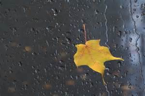 دیهوک و عشق آباد طبس رکورد بارش باران در استان خراسان جنوبی