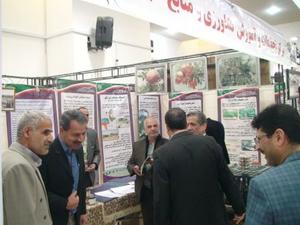 حضور مركز تحقیقات و آموزش كشاورزی و منابع طبیعی یزد در نمایشگاه هفته پژوهش