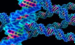 مهندسی ژنتیک و تاثیر آن بر سلامت انسان 